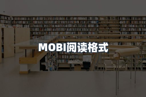 EPUB电子书